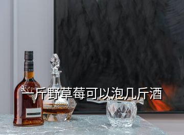 一斤野草莓可以泡几斤酒