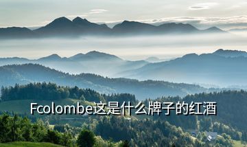 Fcolombe这是什么牌子的红酒