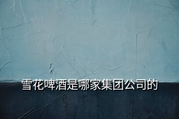 雪花啤酒是哪家集团公司的