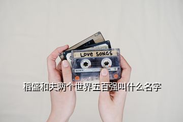 稻盛和夫两个世界五百强叫什么名字