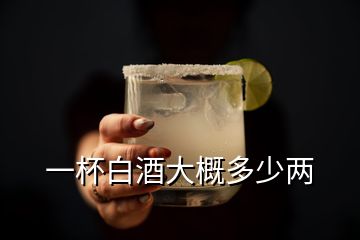 一杯白酒大概多少两