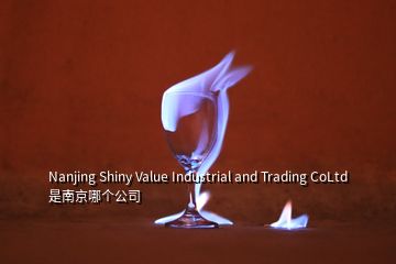 Nanjing Shiny Value Industrial and Trading CoLtd 是南京哪个公司