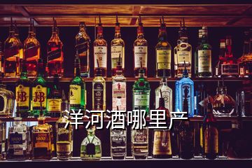 洋河酒哪里产