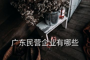 广东民营企业有哪些