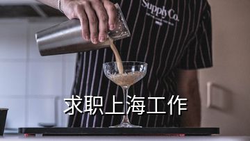 求职上海工作