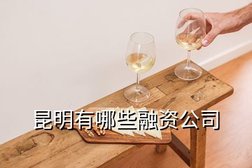  昆明有哪些融资公司