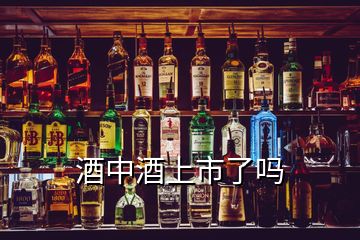 酒中酒上市了吗