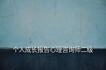 个人成长报告心理咨询师二级