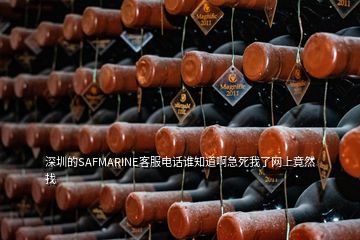 深圳的SAFMARINE客服电话谁知道啊急死我了网上竟然找