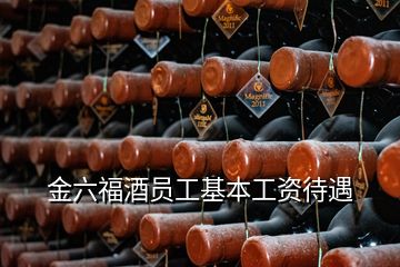 金六福酒员工基本工资待遇