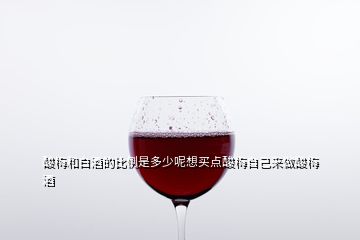 酸梅和白酒的比例是多少呢想买点酸梅自己来做酸梅酒