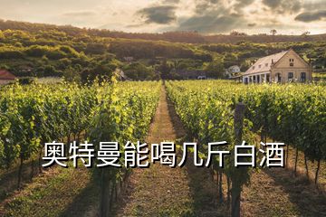 奥特曼能喝几斤白酒