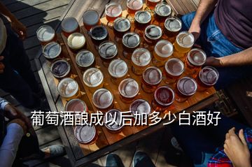 葡萄酒酿成以后加多少白酒好