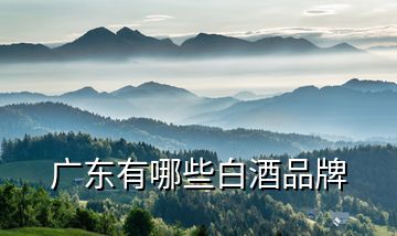 广东有哪些白酒品牌