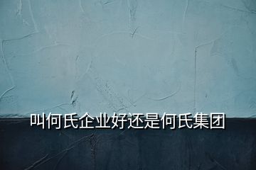 叫何氏企业好还是何氏集团