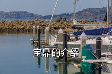 宝鼎的介绍