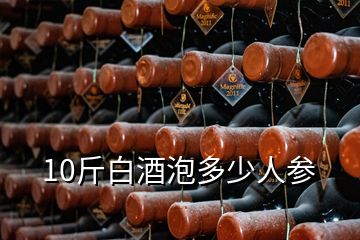 10斤白酒泡多少人参