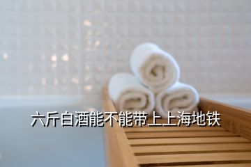 六斤白酒能不能带上上海地铁