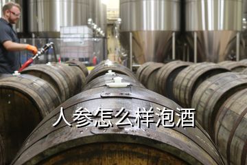 人参怎么样泡酒