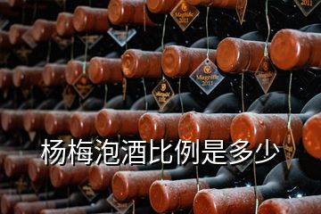 杨梅泡酒比例是多少