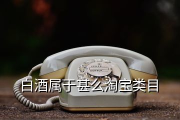 白酒属于甚么淘宝类目