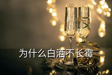 为什么白酒不长霉