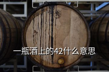 一瓶酒上的42什么意思