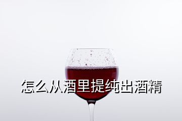 怎么从酒里提纯出酒精