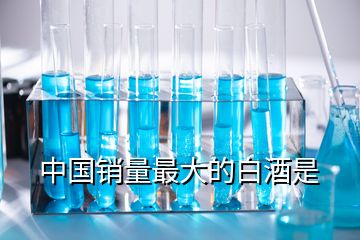 中国销量最大的白酒是