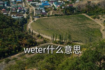 weter什么意思