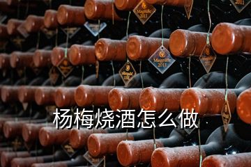 杨梅烧酒怎么做