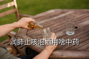 润肺止咳泡酒用啥中药