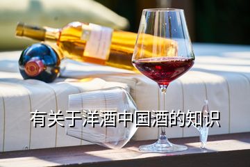 有关于洋酒中国酒的知识