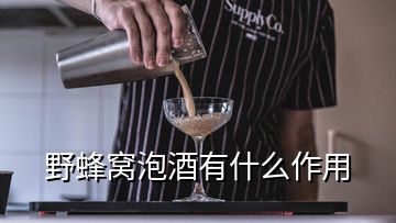 野蜂窝泡酒有什么作用