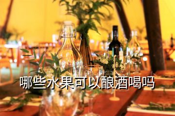 哪些水果可以酿酒喝吗