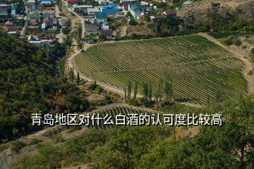 青岛地区对什么白酒的认可度比较高