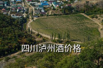 四川泸州酒价格