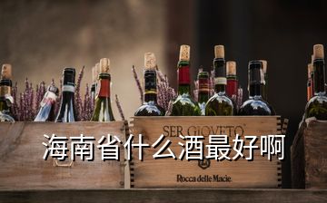 海南省什么酒最好啊