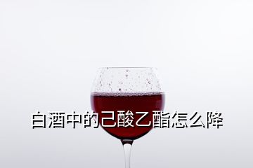 白酒中的己酸乙酯怎么降