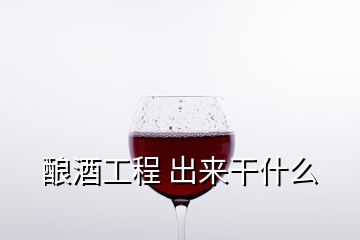 酿酒工程 出来干什么