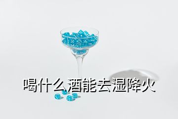 喝什么酒能去湿降火