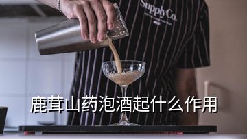 鹿茸山药泡酒起什么作用