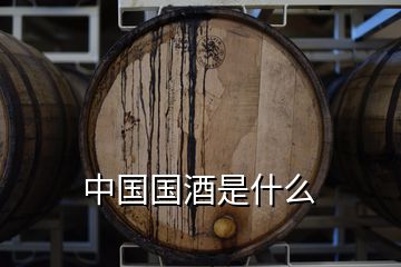 中国国酒是什么