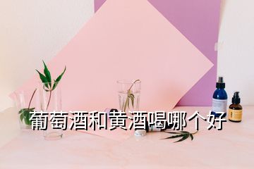 葡萄酒和黄酒喝哪个好