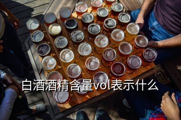 白酒酒精含量vol表示什么