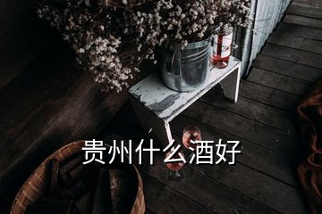 贵州什么酒好