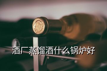 酒厂蒸馏酒什么锅炉好