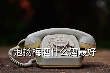 泡扬梅酒什么酒最好