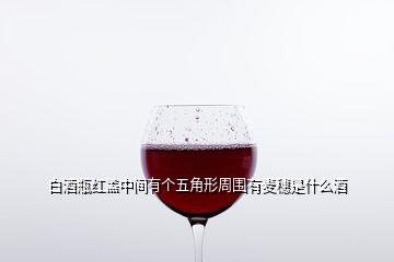 白酒瓶红盖中间有个五角形周围有麦穗是什么酒