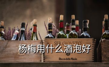 杨梅用什么酒泡好